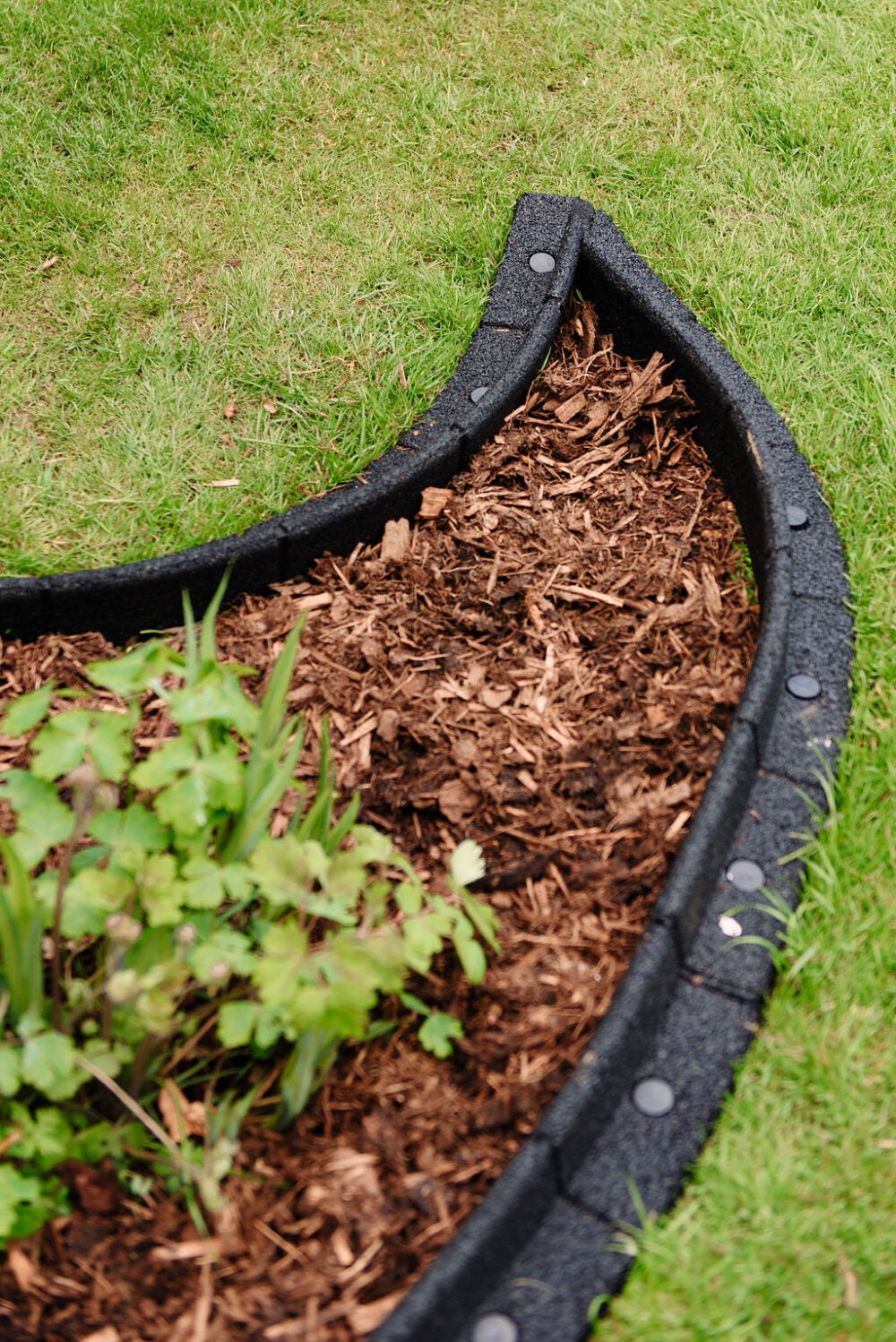 Black FlexiBorder - Image 3