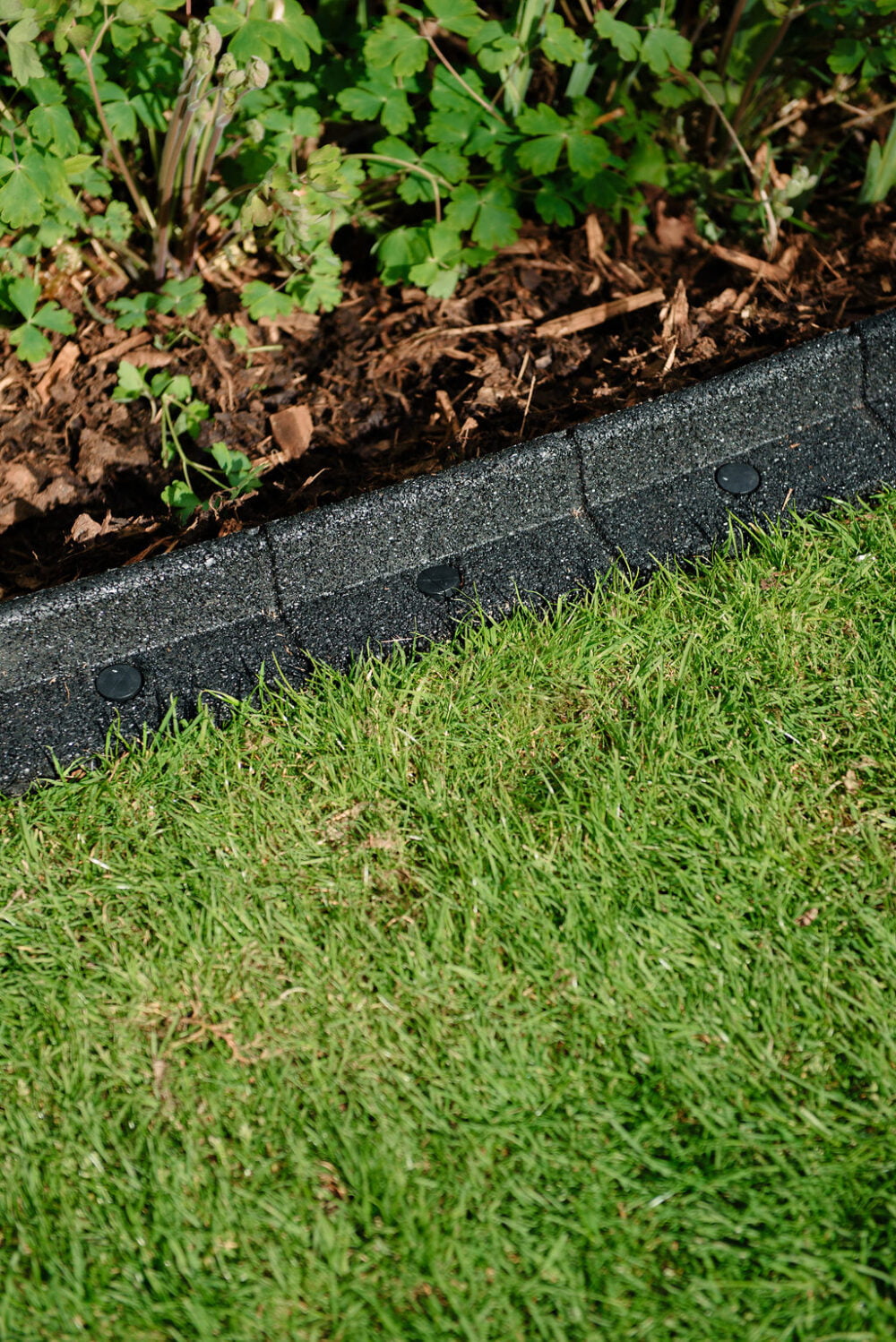Black FlexiBorder - Image 4