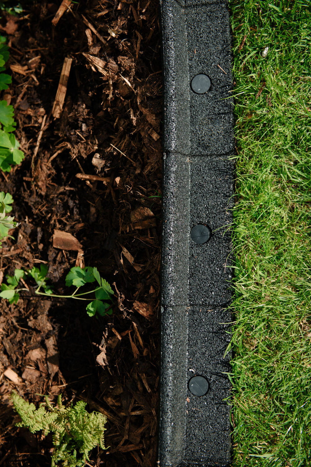 Black FlexiBorder - Image 5