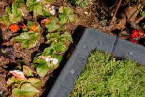 garden-border
