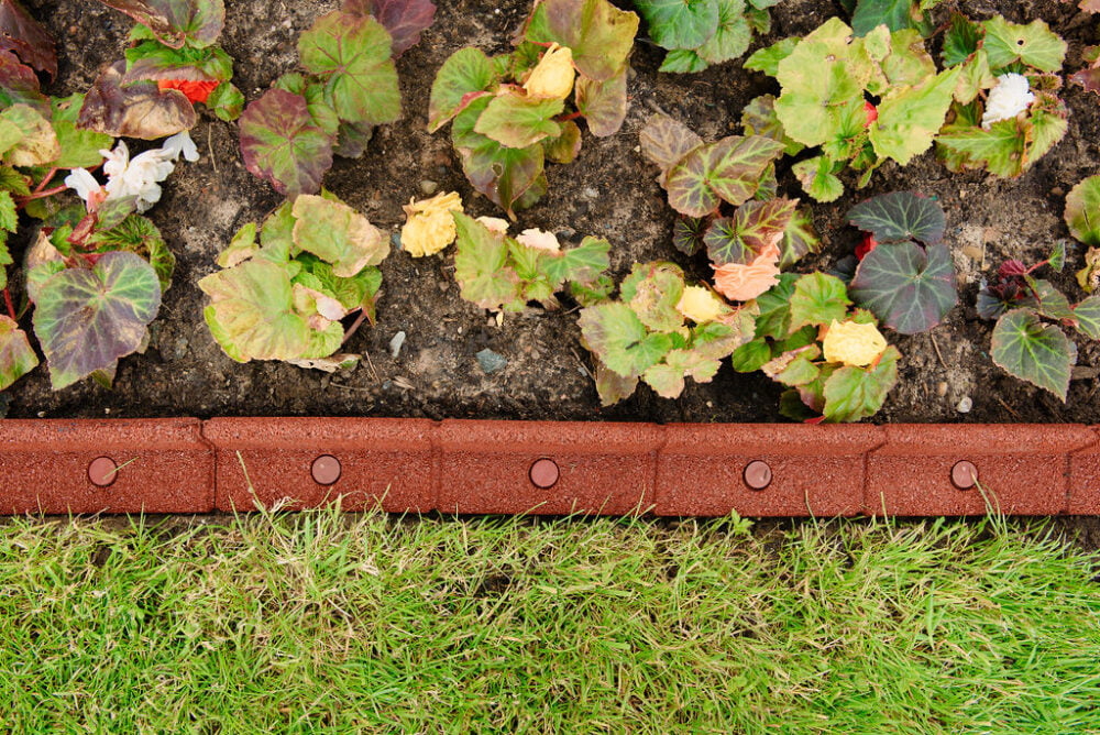 Terracotta FlexiBorder - Image 2