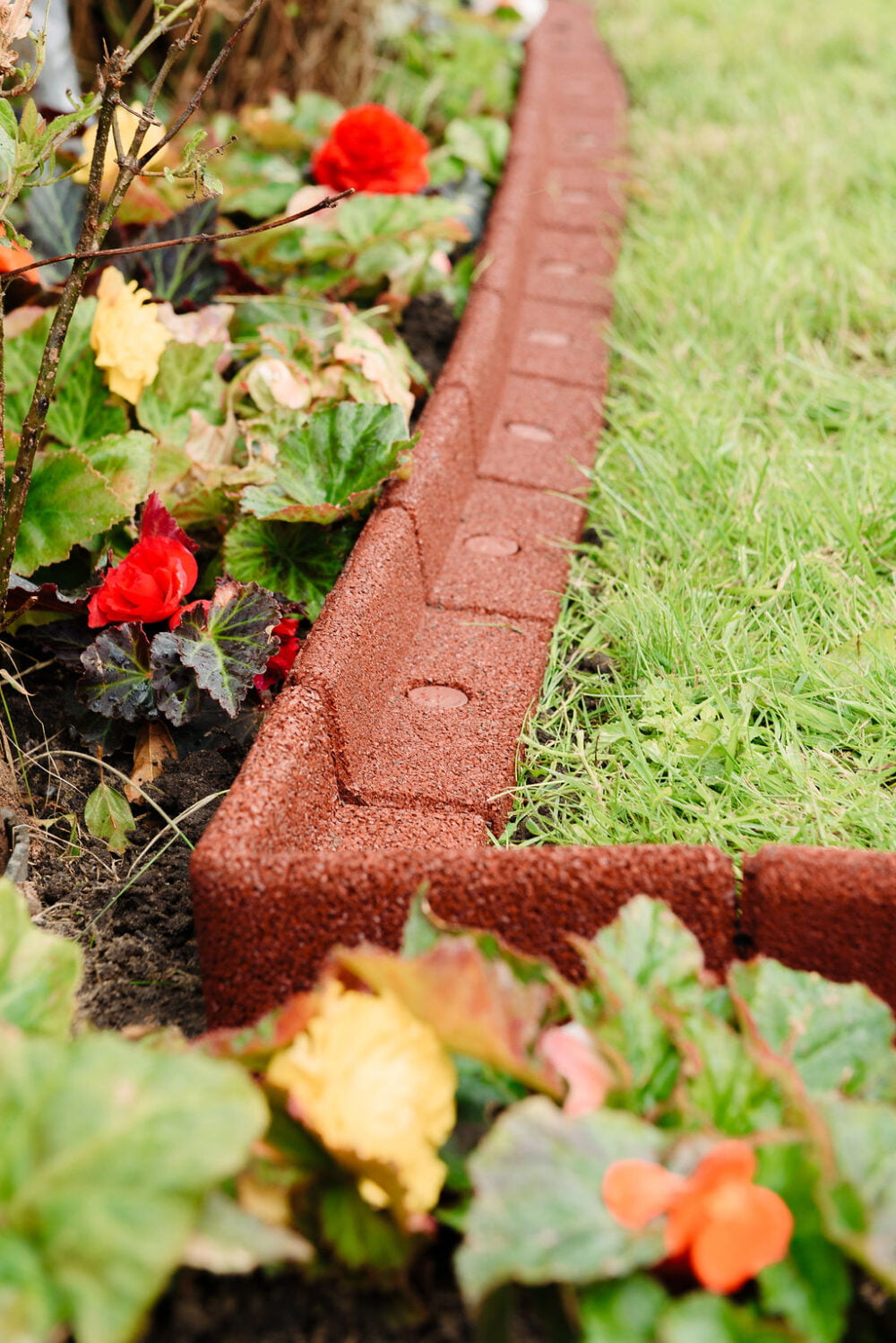 Terracotta FlexiBorder - Image 5