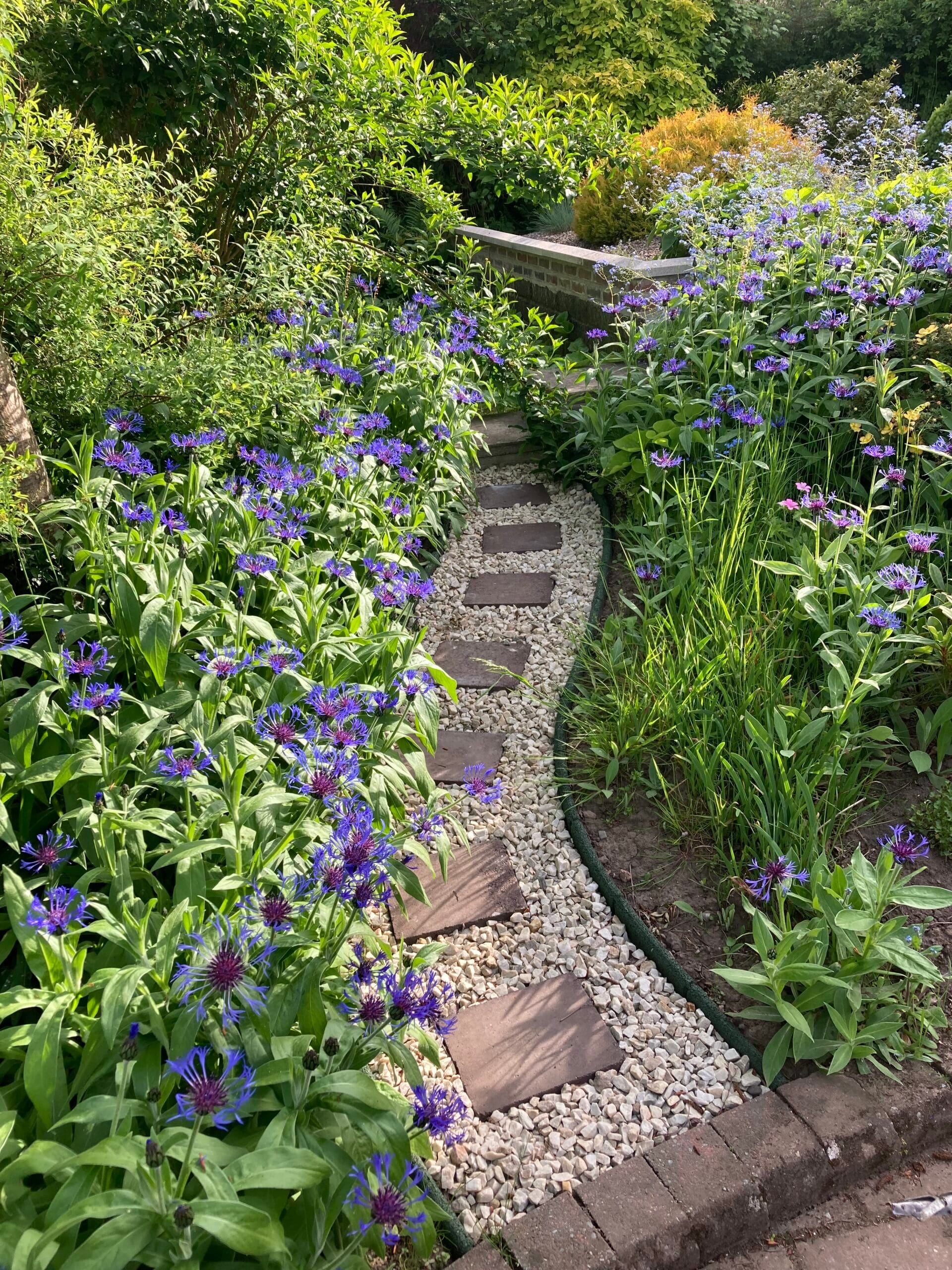 The practical benefits of a well-organised garden - Flexiborder