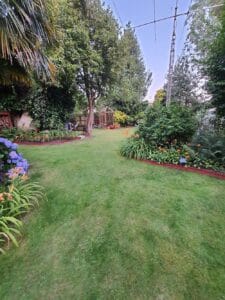 Terracotta Flexiborder in a garden
