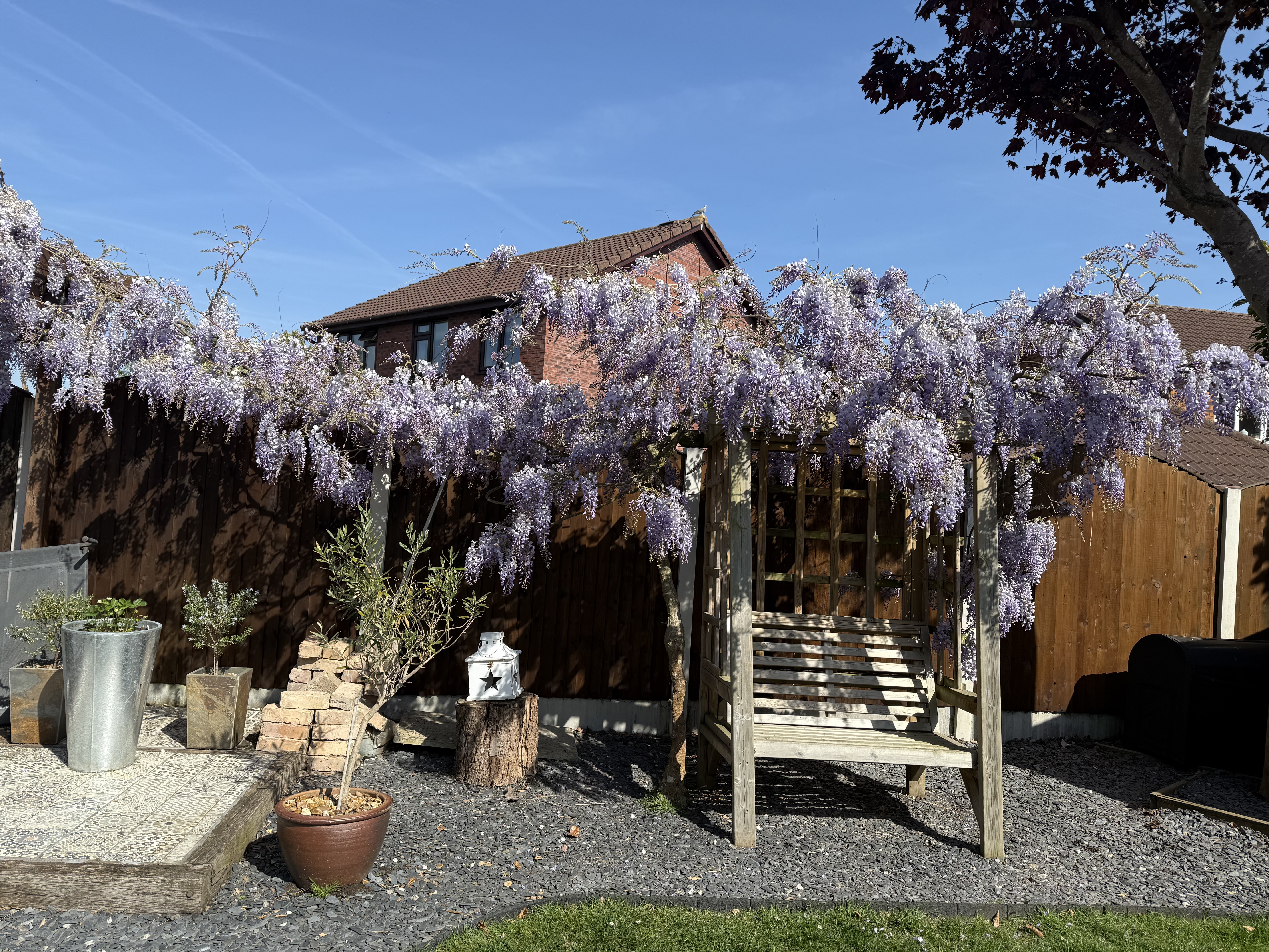 Lesley Jones from Sandbach FlexiBorder competition submission