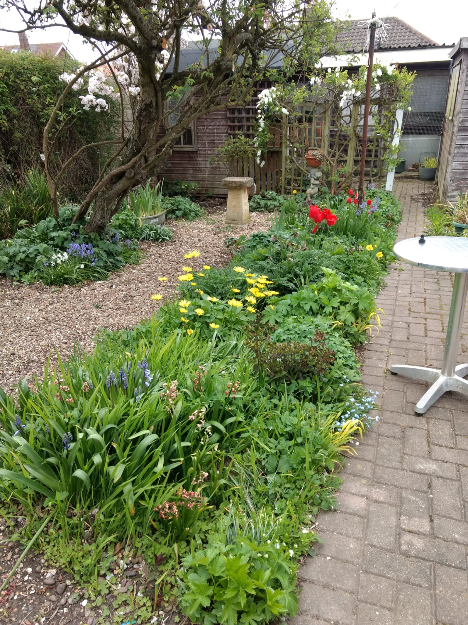 Julie Wright from Kirkby in Ashfield FlexiBorder competition entry